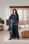 Naqsh Chikankari Blue Contour