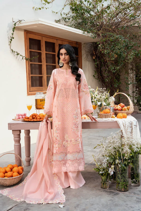 Naqsh Chikankari Peach Blossom